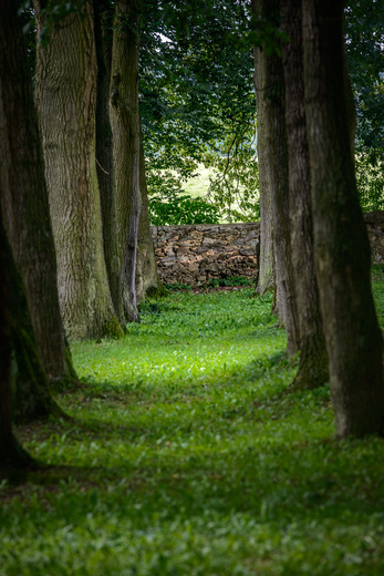 park